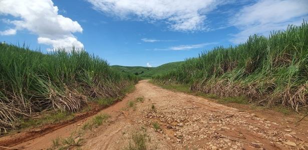 Prejuízo com incêndios pode chegar a R$ 350 mi para produtores de cana