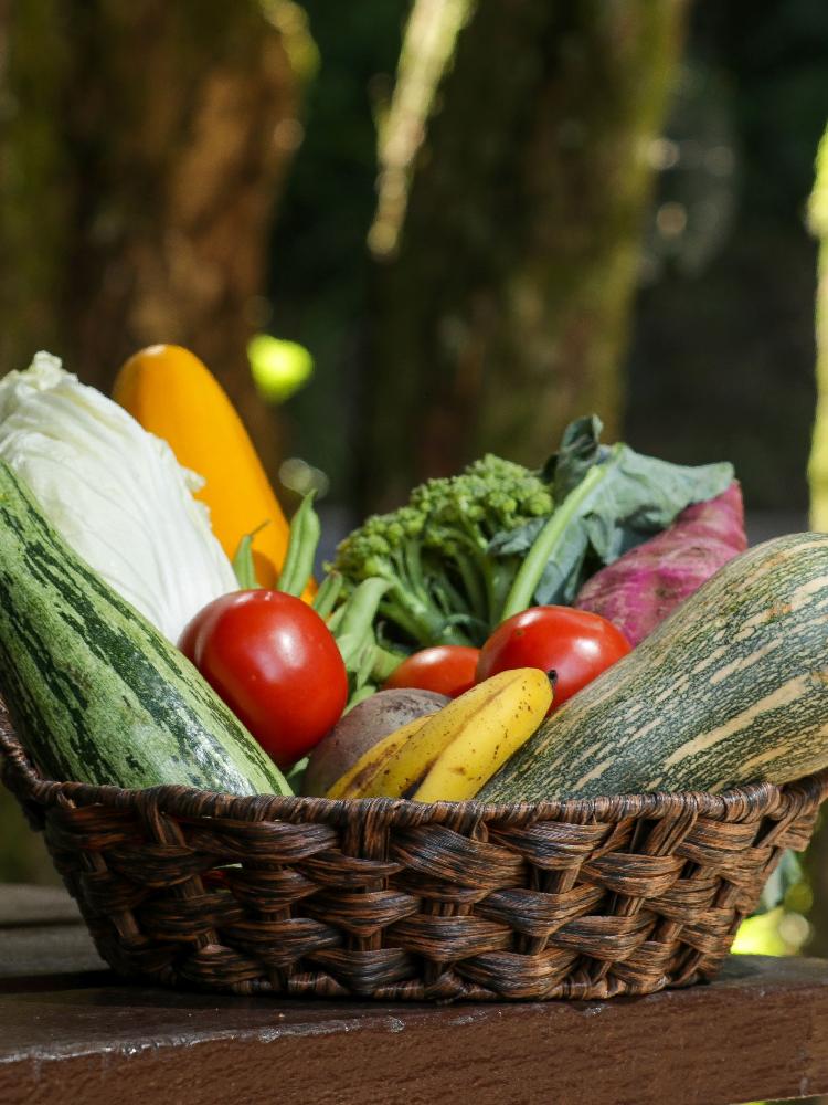 Governo regulamenta nova cesta básica com produtos in natura