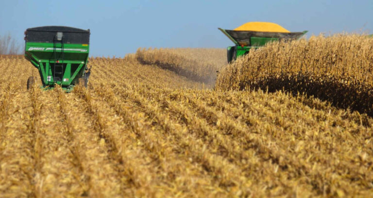 PIB do agronegócio cai 2,99% em 2023; saiba o motivo