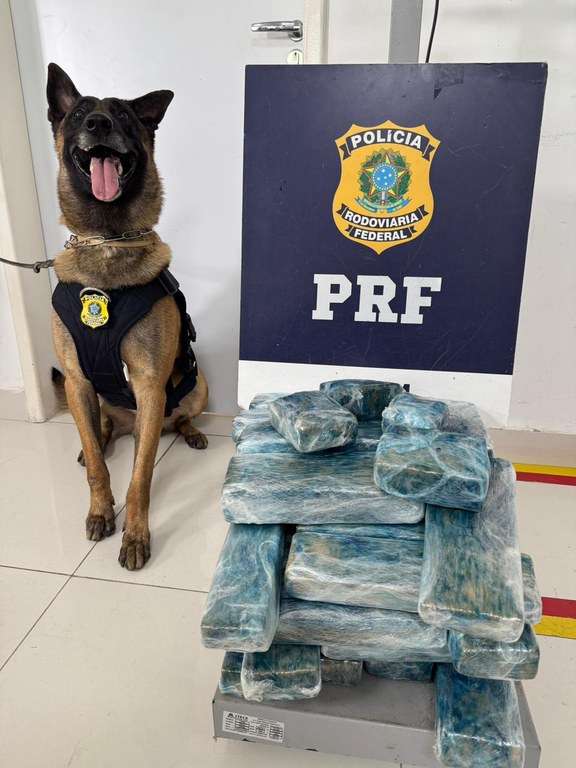 Foto: Reprodução/ PRF
