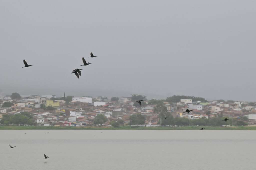 Foto: Reprodução/ PMVC