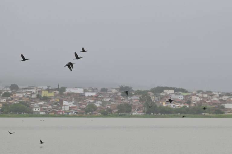 Foto: Reprodução/ PMVC
