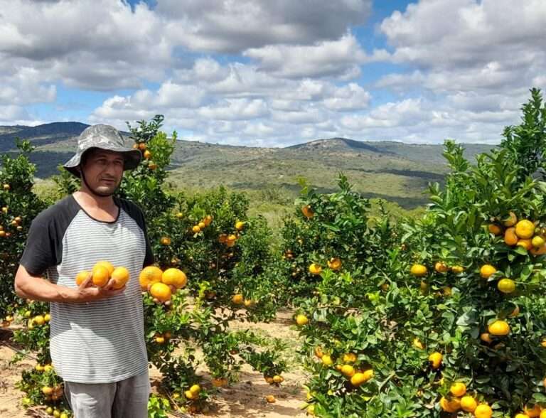 Projeto Citrus band fm conquista